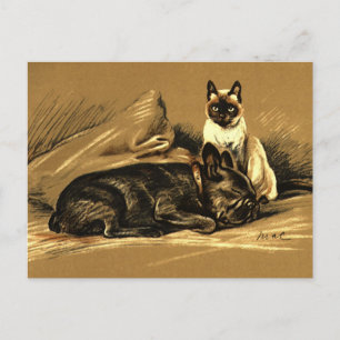  Siamese Cat en French Bulldog Briefkaart