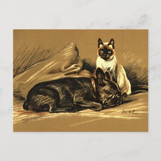  Siamese Cat en French Bulldog Briefkaart (Voorkant)