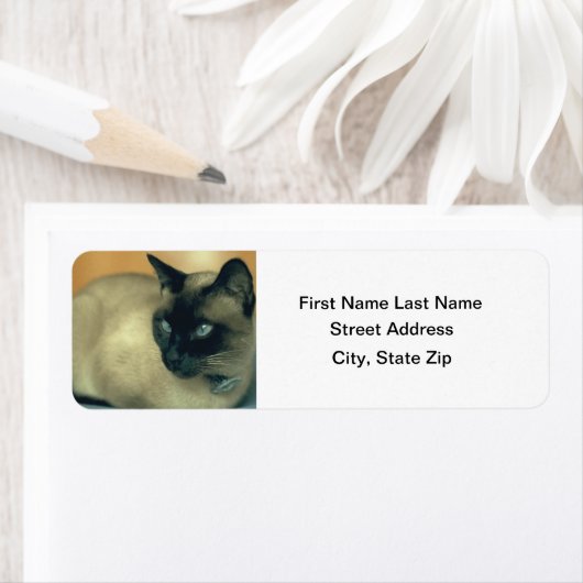 Siamese Cat Etiket (Insitu)