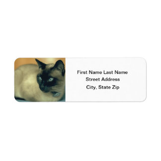 Siamese Cat Etiket