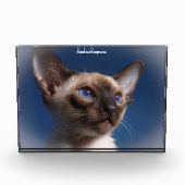 Siamese Cat Fotoblokken (Voorkant)
