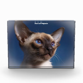 Siamese Cat Fotoblokken