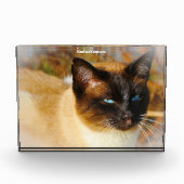 Siamese Cat Fotoblokken (Voorkant)