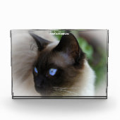 Siamese Cat Fotoblokken (Voorkant)