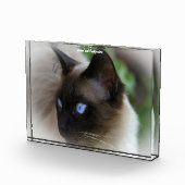 Siamese Cat Fotoblokken (Rechts)