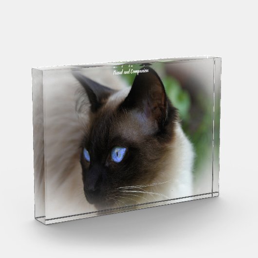 Siamese Cat Fotoblokken (Links)