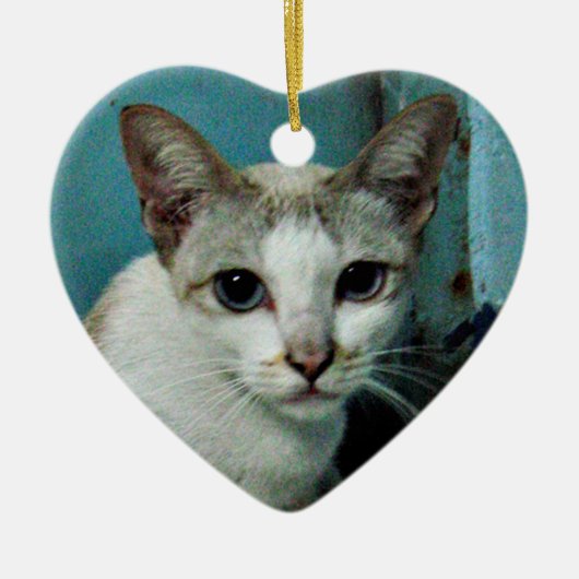 Siamese Cat Friend Keramisch Ornament (Voorkant)