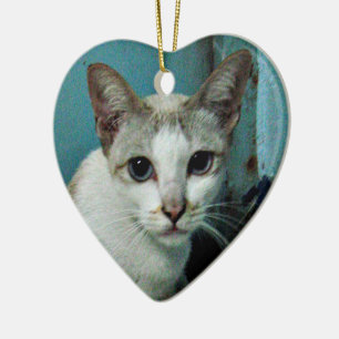 Siamese Cat Friend Keramisch Ornament