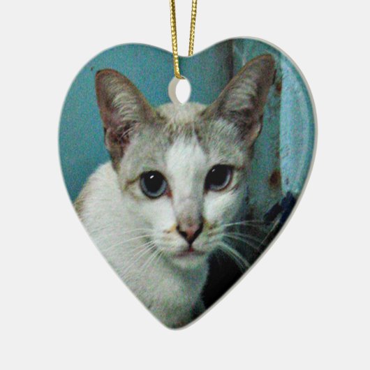 Siamese Cat Friend Keramisch Ornament (Links)