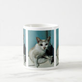 Siamese Cat Friend Koffiemok (Center)