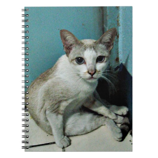Siamese Cat Friend Notitieboek (Voorkant)