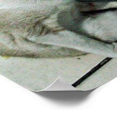 Siamese Cat Friend Poster (Hoek)