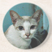 Siamese Cat Friend Zandsteen Onderzetter (Voorkant)