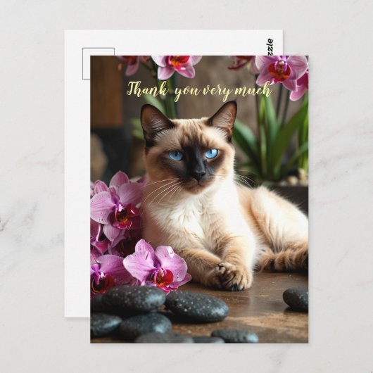 Siamese Cat in Spa hartelijk dank Briefkaart (Voorkant / Achterkant)