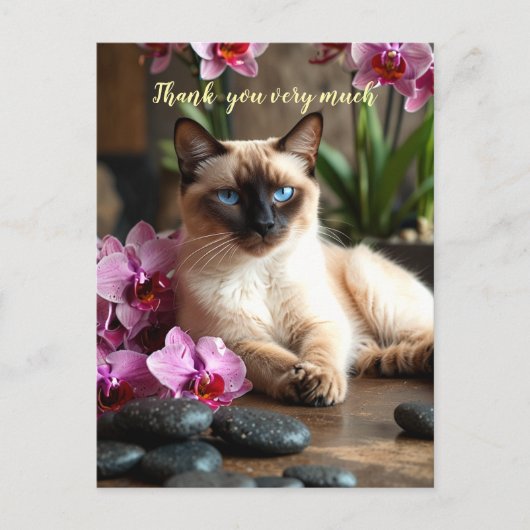 Siamese Cat in Spa hartelijk dank Briefkaart (Voorkant)