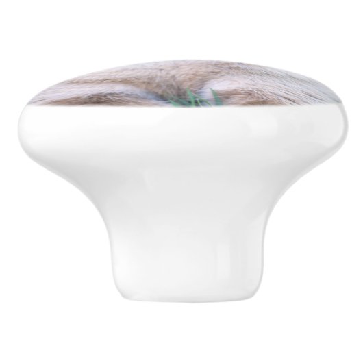 Siamese cat keramische knop (Zijkant)