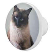 Siamese cat keramische knop (Rechts)