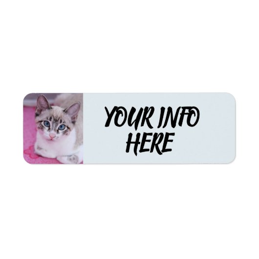 SIAMESE CAT KITTEN RETURN ADRESETIKETTEN ETIKET (Voorkant)