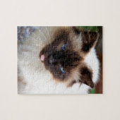 Siamese cat legpuzzel (Horizontaal)