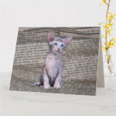 SIAMESE CAT LOVE BIRTHDAY NEWSPAPER ART Kaart (Gele Bloem)