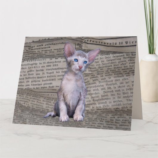 SIAMESE CAT LOVE BIRTHDAY NEWSPAPER ART Kaart (Voorkant)