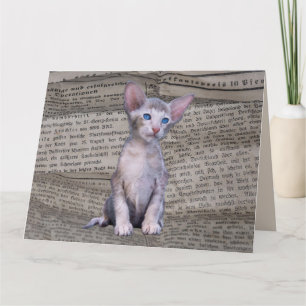 SIAMESE CAT LOVE BIRTHDAY NEWSPAPER ART Kaart