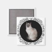Siamese Cat Magneet (Voorkant / Achterkant)