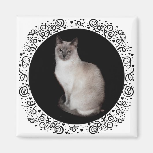 Siamese Cat Magneet (Voorkant)