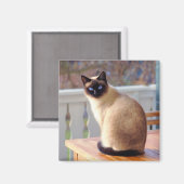 Siamese Cat Magneet (Voorkant / Achterkant)