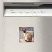 Siamese Cat Magneet (Insitu (Vaatwasser))