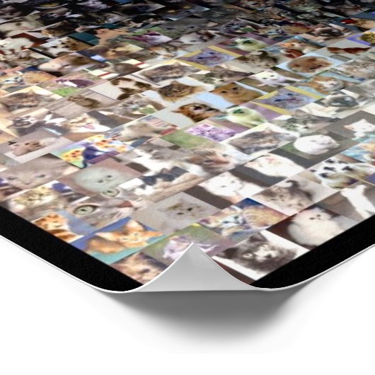 siamese Cat Montage Poster (Hoek)