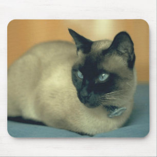 Siamese Cat Mousepad Muismat