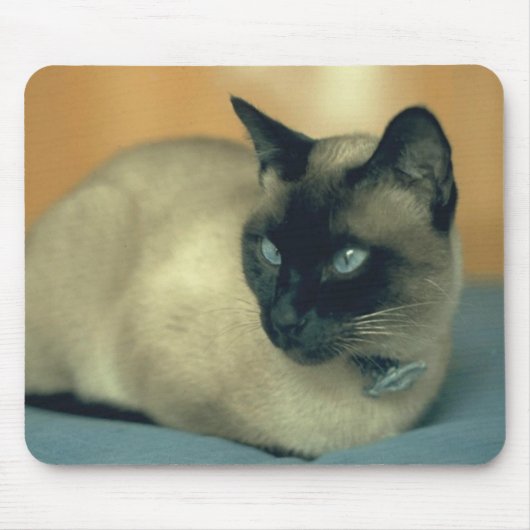 Siamese Cat Mousepad Muismat (Voorkant)