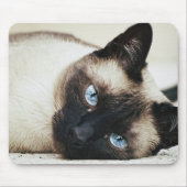 Siamese Cat Muismat (Voorkant)