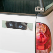 Siamese Cat Murphy Bumpersticker (Op Truck)