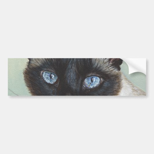 Siamese Cat Murphy Bumpersticker (Voorkant)