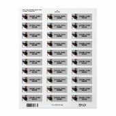 SIAMESE CAT PEEKING RETURN ADRES ETIKETTERS ETIKET (Full Sheet)