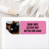 SIAMESE CAT PEEKING RETURN ADRES ETIKETTERS ETIKET (Insitu)