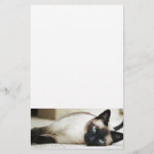 Siamese Cat Pet Briefpapier (Voorkant)