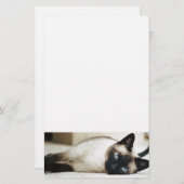 Siamese Cat Pet Briefpapier (Voorkant / Achterkant)