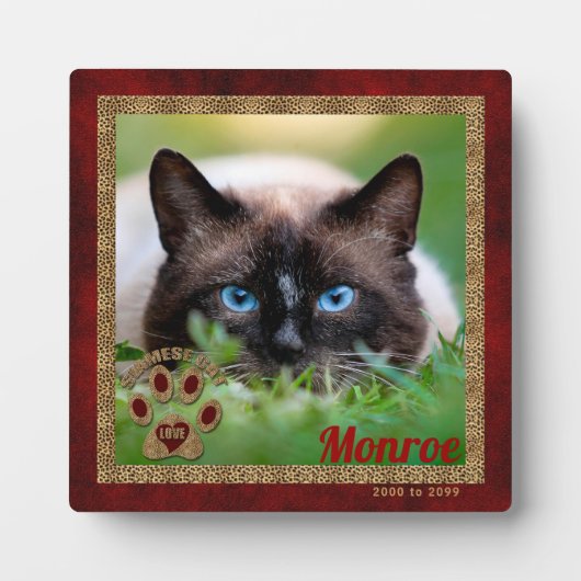 Siamese Cat Pet Memorial Foto Fotoplaat (Voorkant)