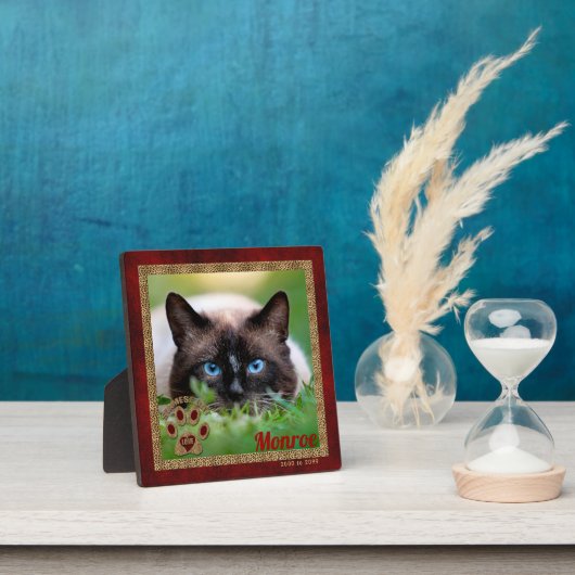 Siamese Cat Pet Memorial Foto Fotoplaat (Insitu)