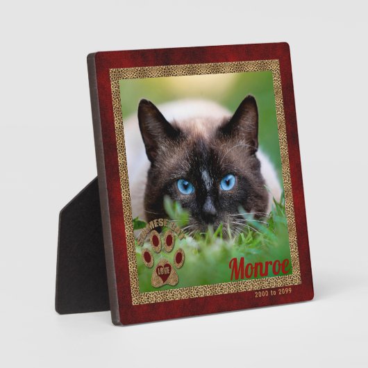Siamese Cat Pet Memorial Foto Fotoplaat (Voorkant)