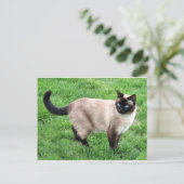 Siamese Cat Pet Purr Meow Kitty Destiny Art Briefkaart (Staand voorkant)