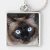 Siamese Cat Portrait Sleutelhanger (Voorkant)
