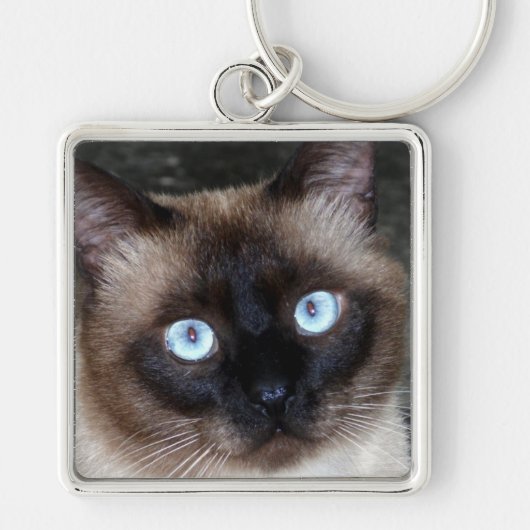 Siamese Cat Portrait Sleutelhanger (Voorkant)