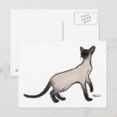 Siamese Cat Post Card Briefkaart (Voorkant / Achterkant)