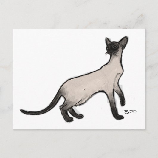 Siamese Cat Post Card Briefkaart (Voorkant)