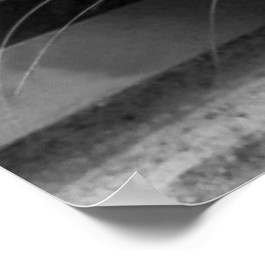 Siamese Cat Poster (Hoek)