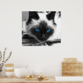Siamese Cat Poster (Keuken)